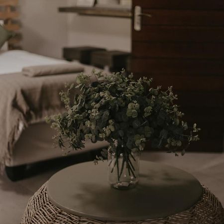 Villa Rose Guesthouse & Venue Bloemfontein Dış mekan fotoğraf