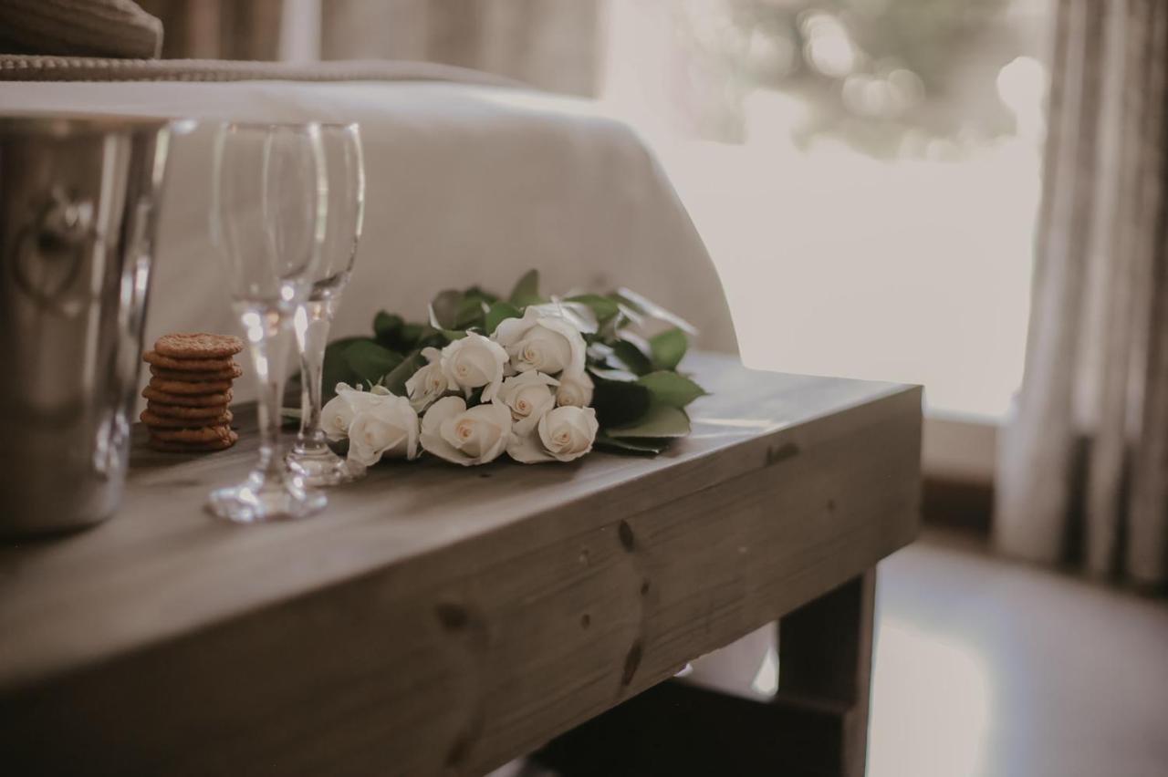 Villa Rose Guesthouse & Venue Bloemfontein Dış mekan fotoğraf